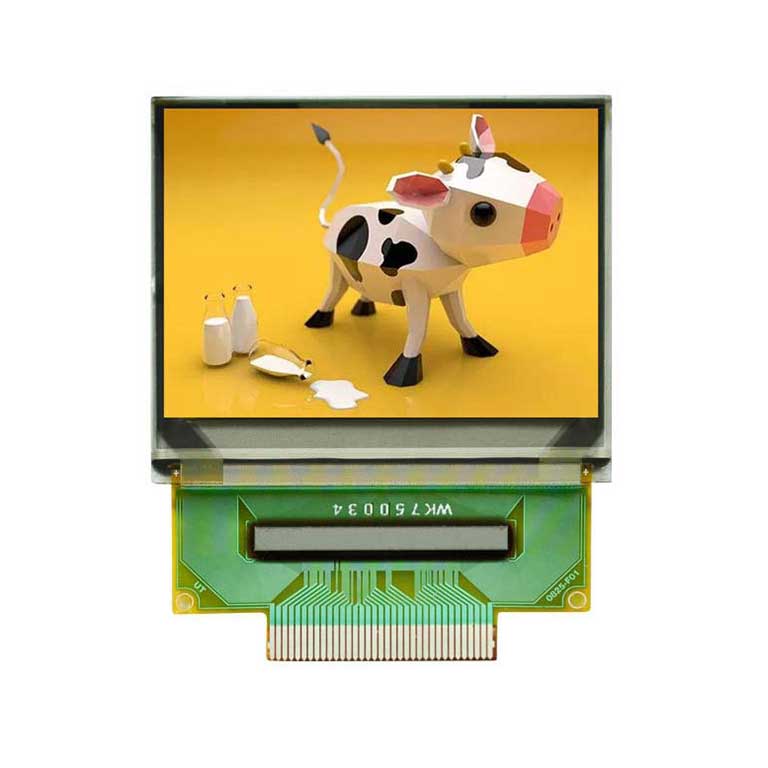 1.45 inch OLED